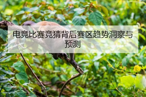 电竞比赛竞猜背后赛区趋势洞察与预测